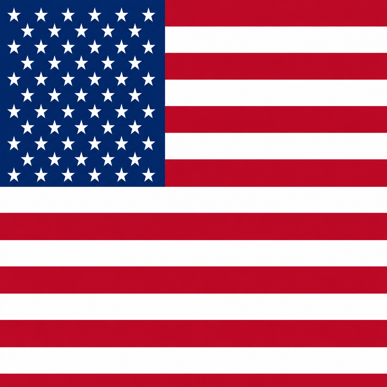 Usa Toon Tone flag preview for color matching game