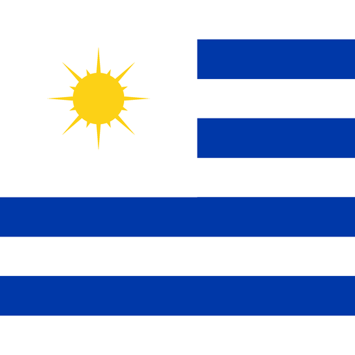 Uruguay Toon Tone world cup flag preview for color matching game